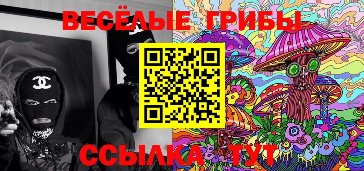 Псилоцибиновые грибы Cubensis Мыски