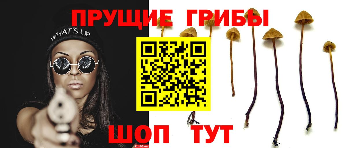Галлюциногенные грибы прущие грибы  Вход с VPN  Мыски 